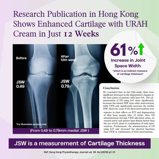 [Double Pack: 6-Month Supply] URAH Bone health Bio-Calcium Micellar Cream